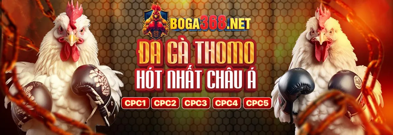 Tổng quan nền tảng 95vn liên kết mới với các trò chơi đa dạng