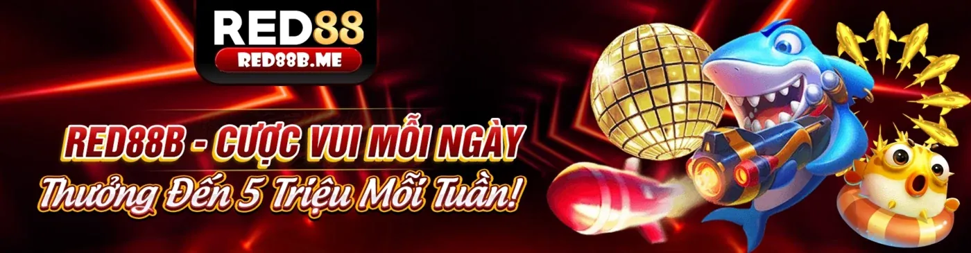 Các kênh liên hệ hỗ trợ khách hàng của 95vn link mới